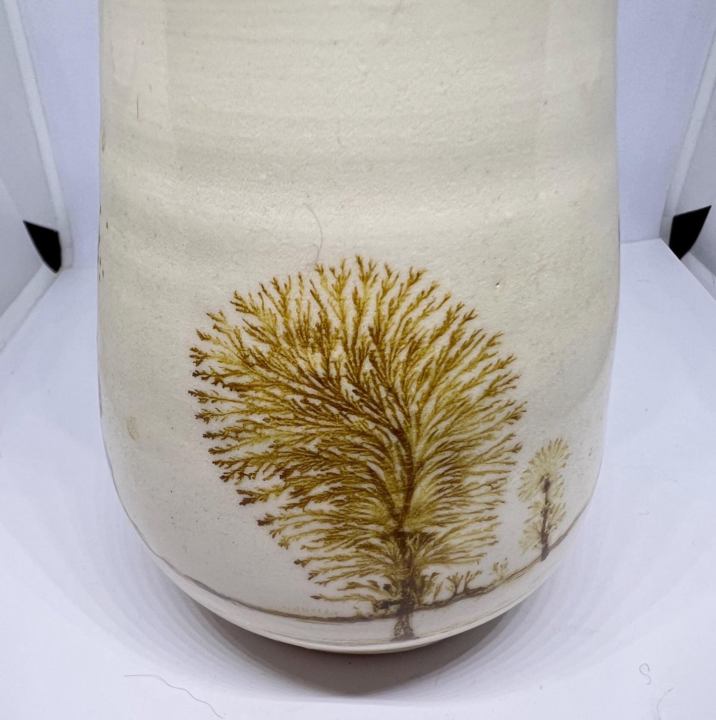 Mocha ware lidded pot Cream glaze with tree design detail in the style of Vanessa Waller.