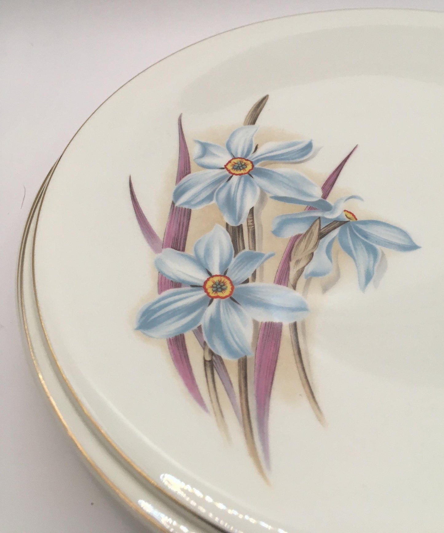 Vintage cake salad plates. Royal Tunstall Staffordshire.