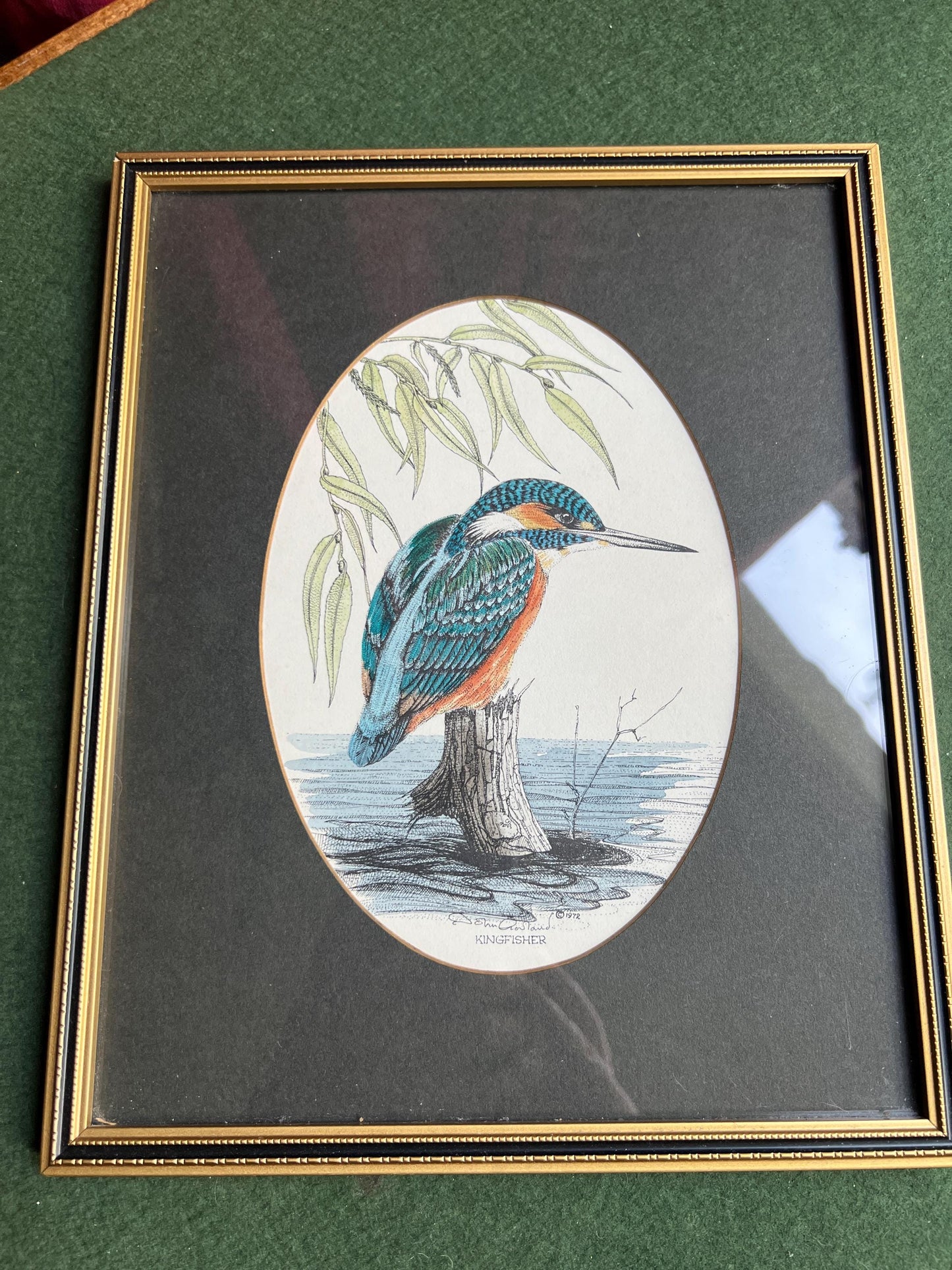 Kingfisher print. John Morland Hand Coloured Bird Print