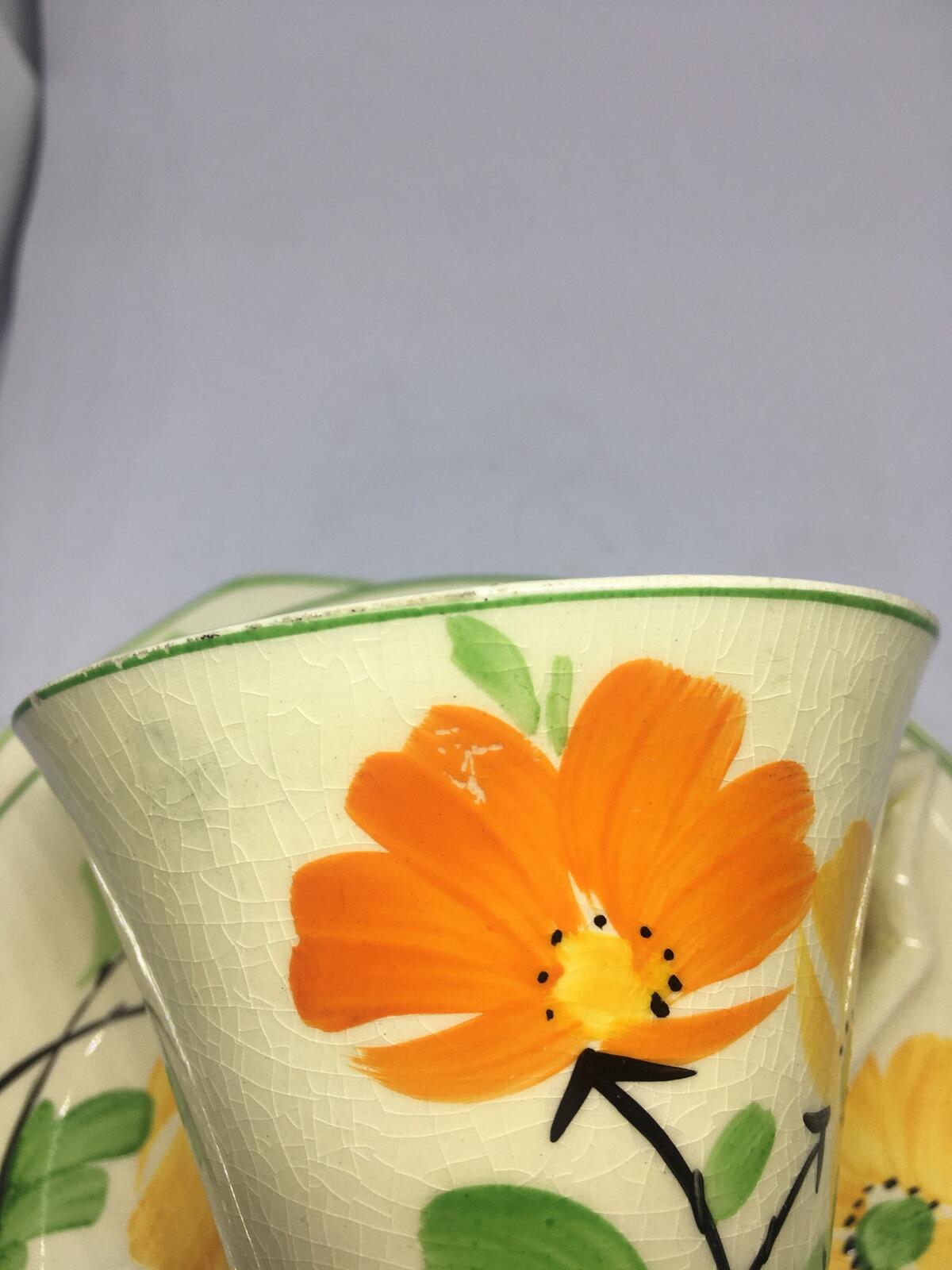 Beautiful Vintage Teacup saucer plate set. Midwinter Burslem porcelain.