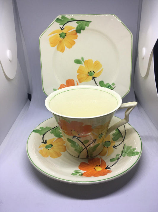 Beautiful Vintage Teacup saucer plate set. Midwinter Burslem porcelain.