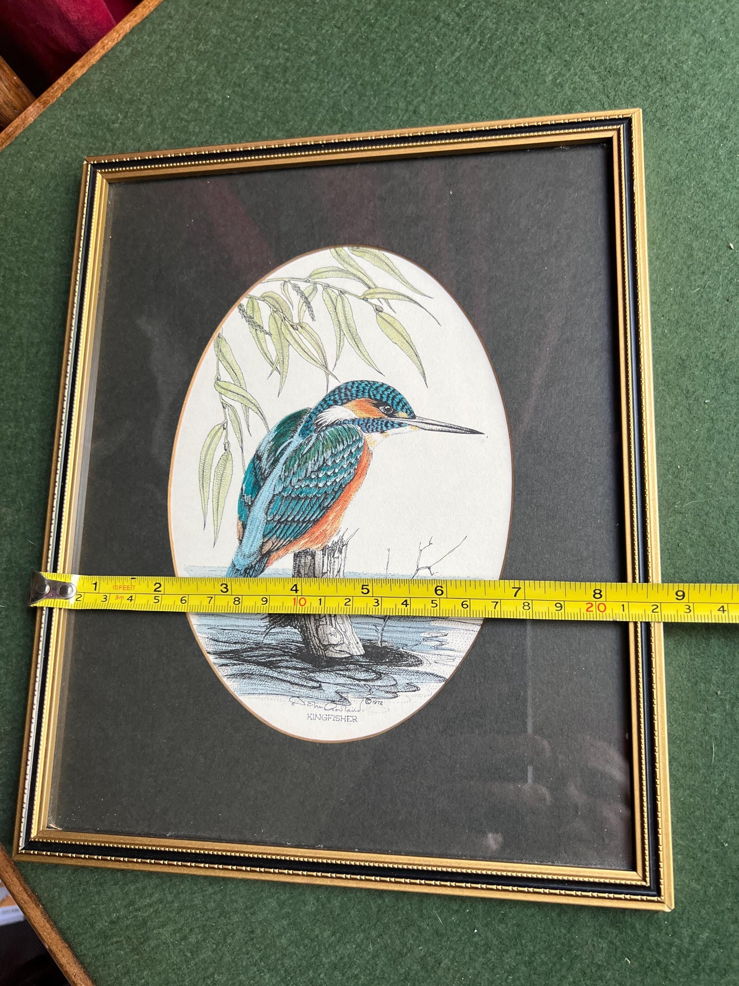 Kingfisher print. John Morland Hand Coloured Bird Print