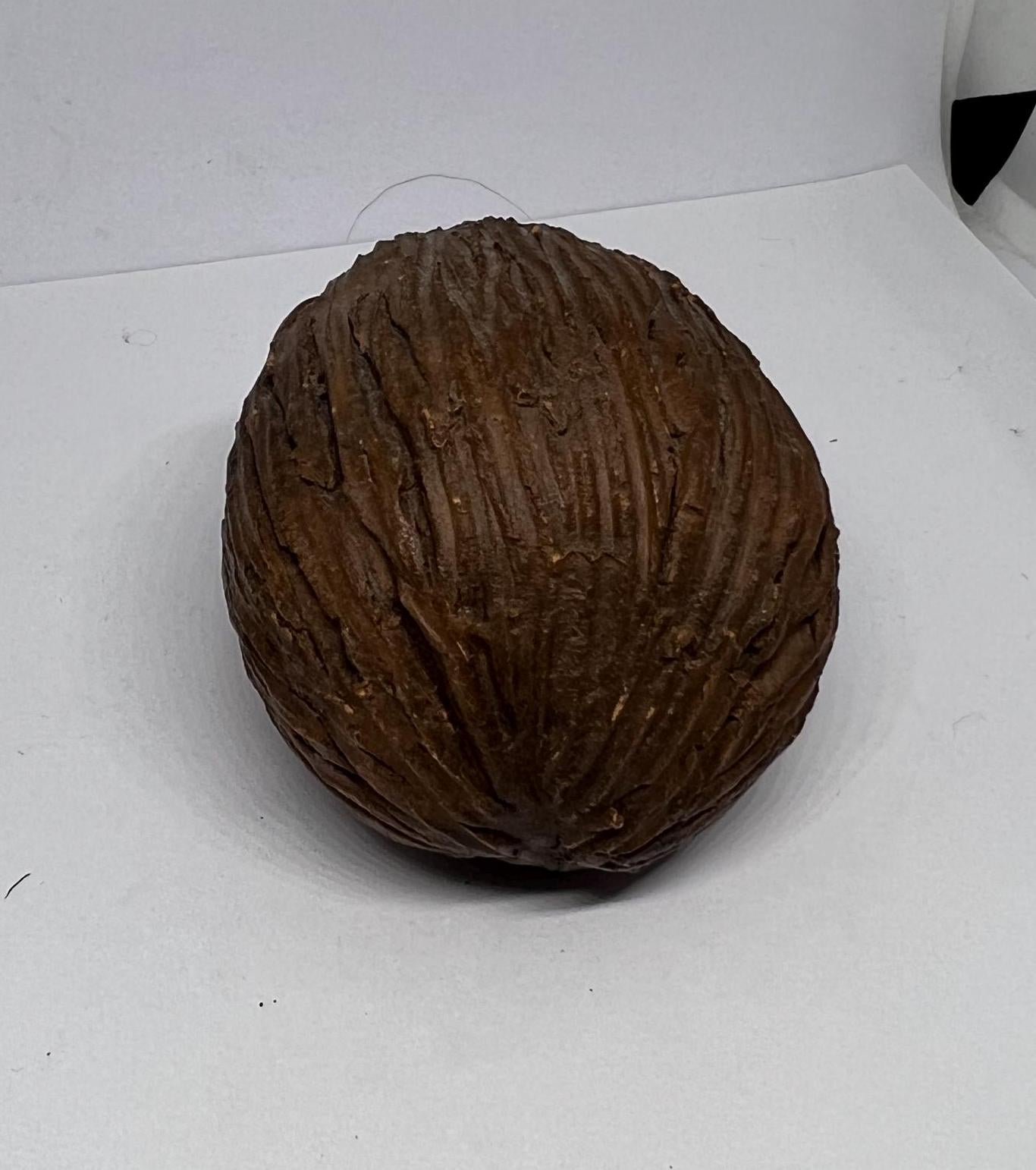 Terracotta hedgehog ornament.