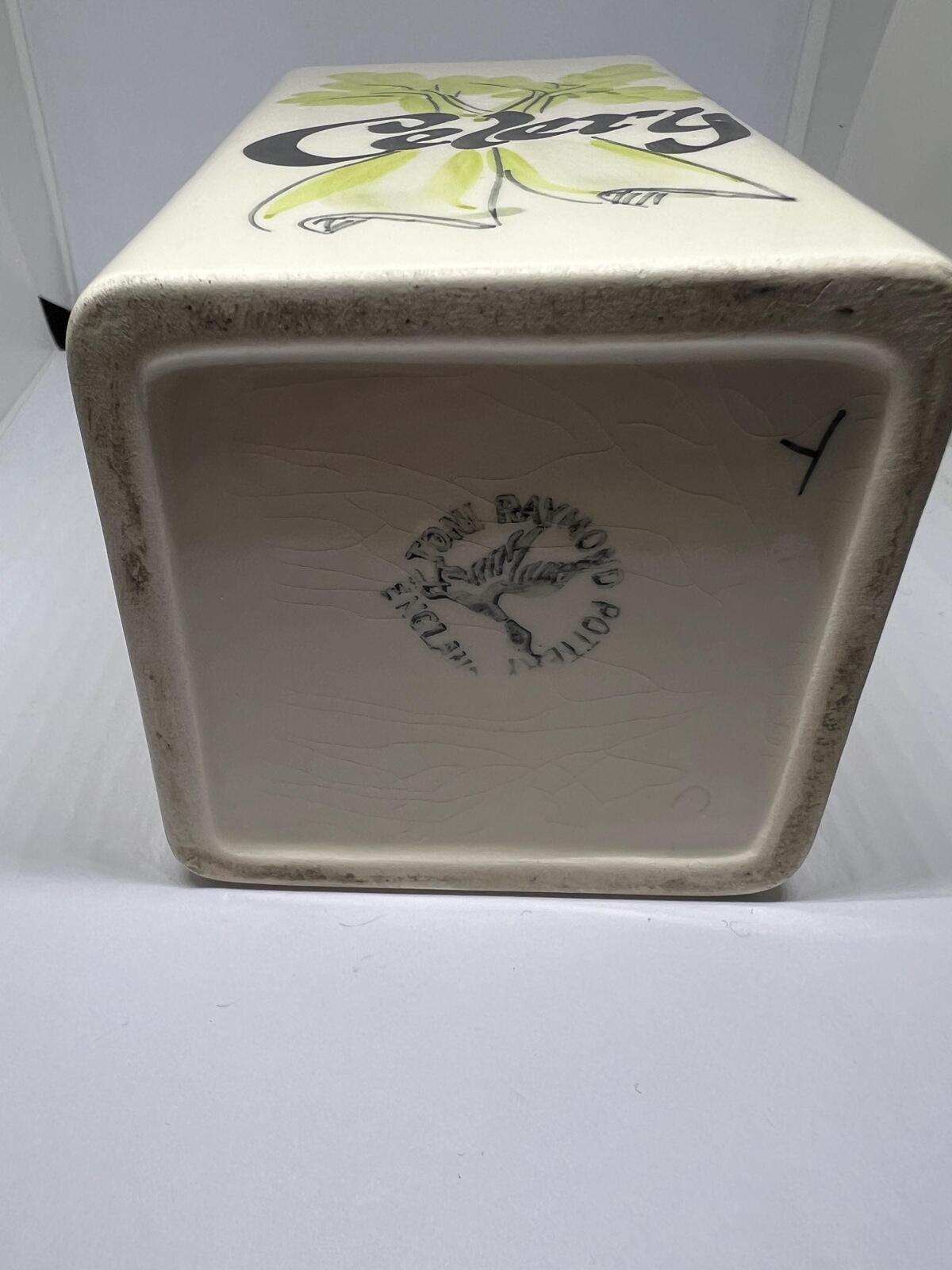Retro Celery kitchen storage container. 1970s Toni Raymond celery holder.