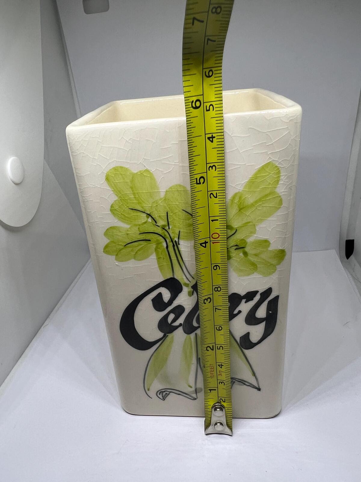 Retro Celery kitchen storage container. 1970s Toni Raymond celery holder.
