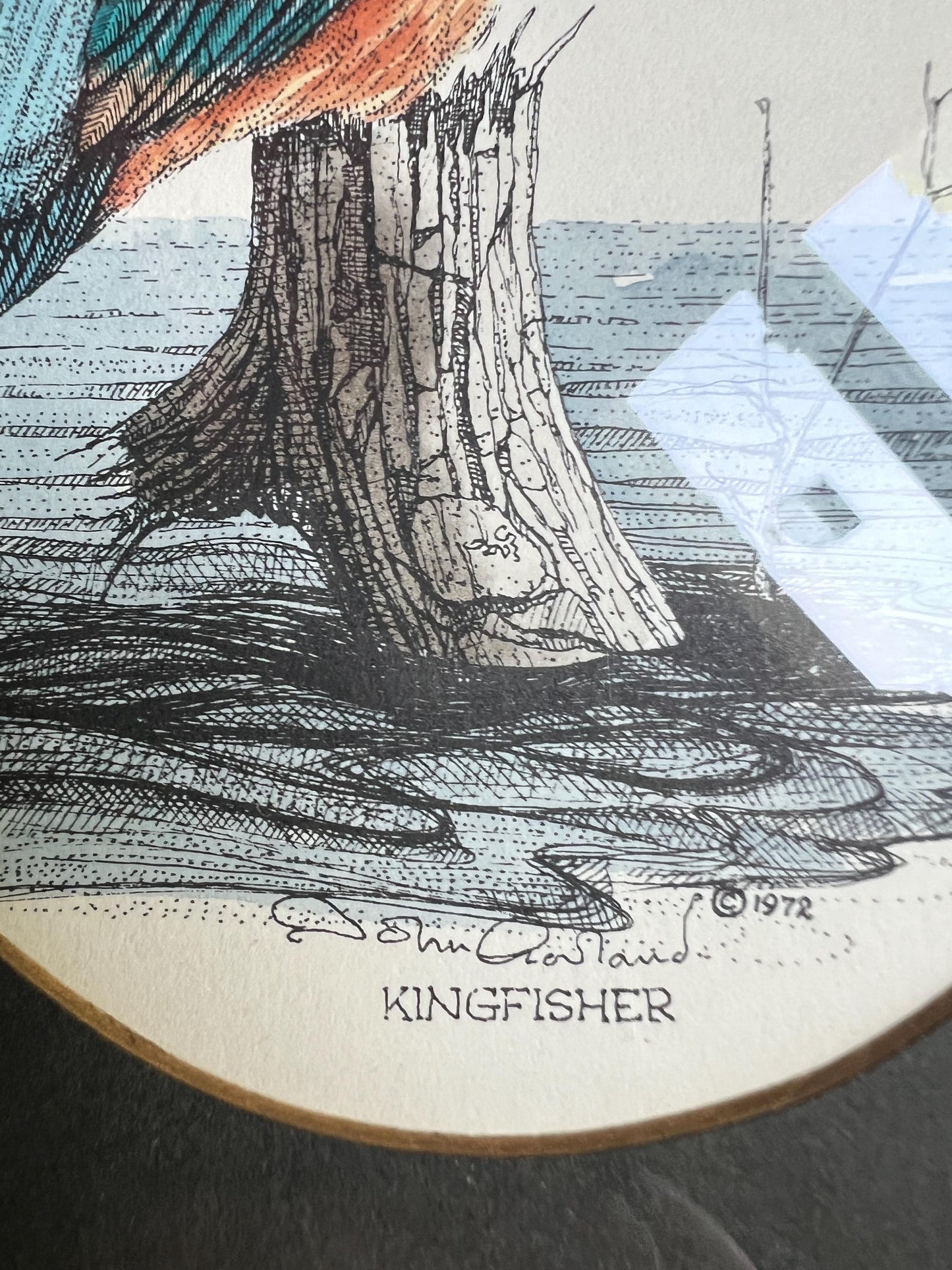 Kingfisher print. John Morland Hand Coloured Bird Print