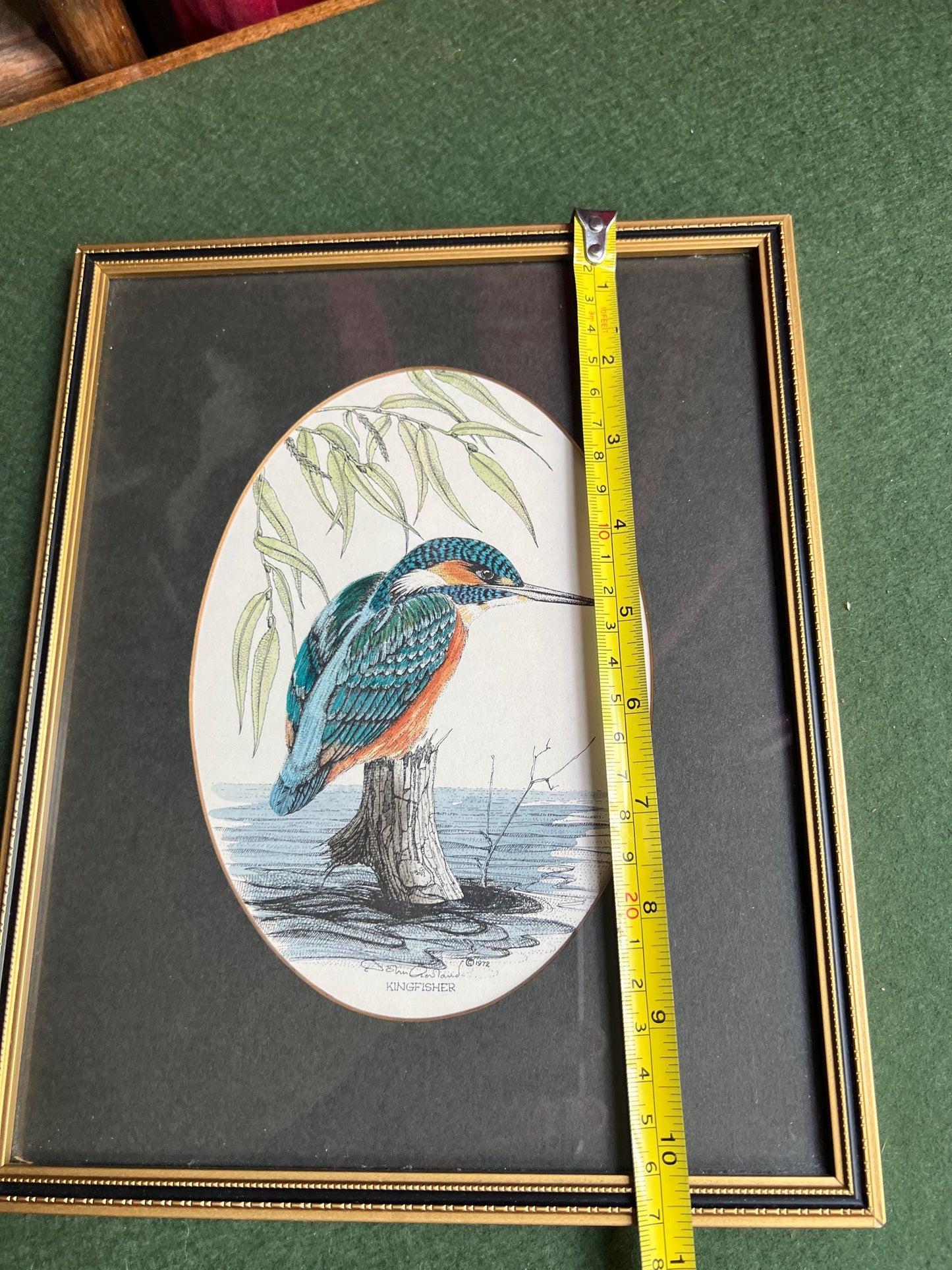 Kingfisher print. John Morland Hand Coloured Bird Print