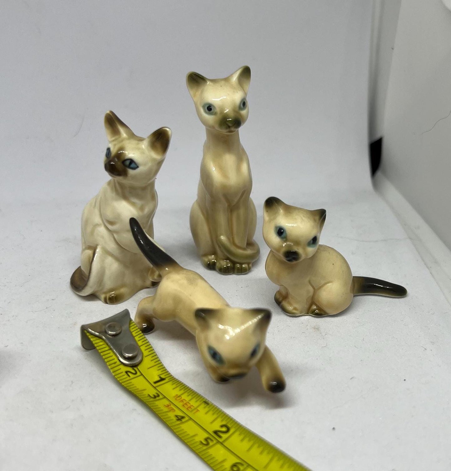 Seal point Siamese cats. Mum dad and 2 kittens. Mum and 3 kittens (sold)