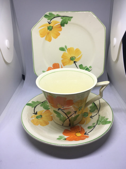Teacup saucer plate set. Midwinter Burslem porcelain.